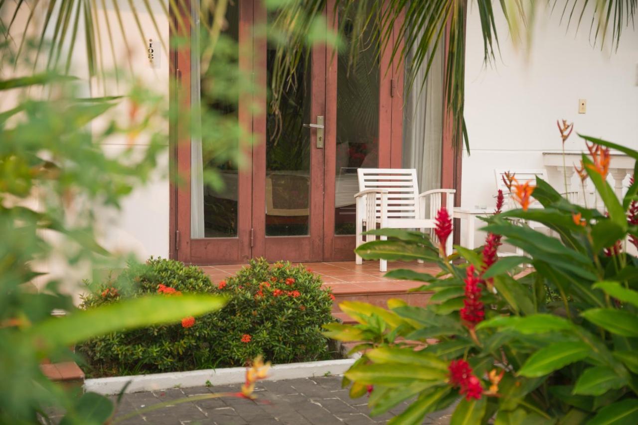 Hoi An Luna Villa Dış mekan fotoğraf
