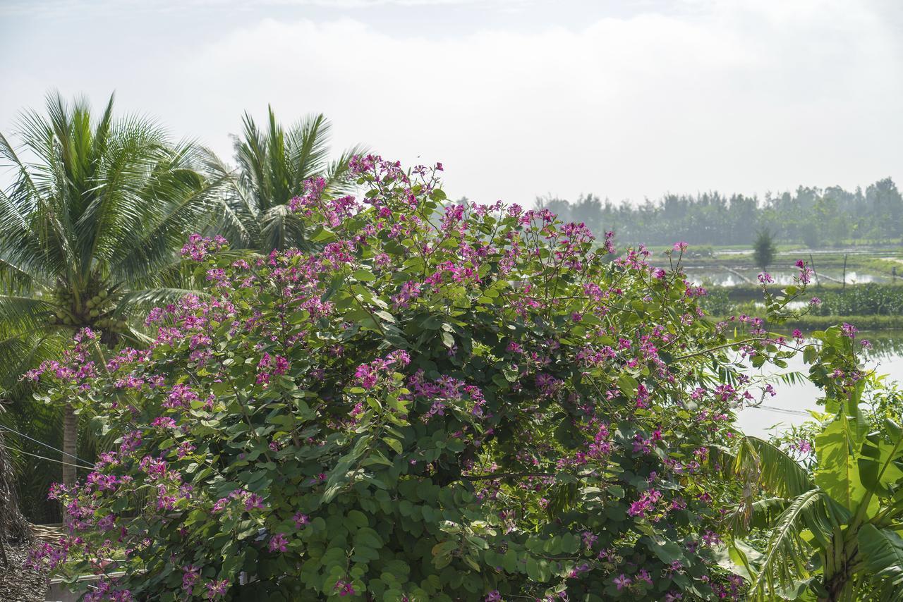Hoi An Luna Villa Dış mekan fotoğraf