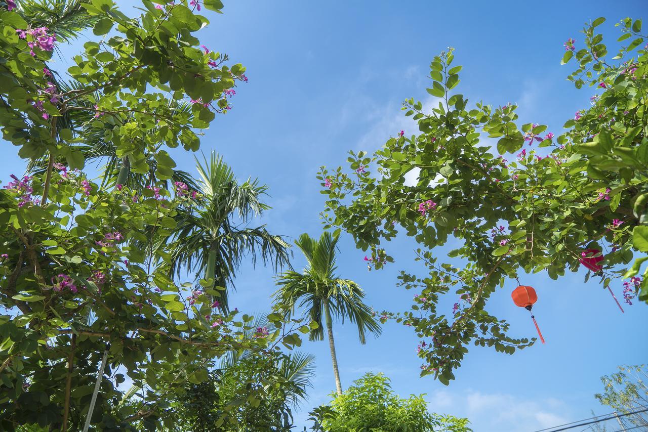 Hoi An Luna Villa Dış mekan fotoğraf